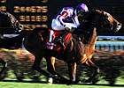O'Brien Sends Out Two in Dubai Sheema Classic