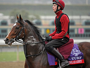 Trainer O'Brien Ready with Two 'Turf' Stars Trainer O'Brien Ready with Two 'Turf' Stars