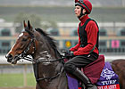 Trainer O'Brien Ready with Two 'Turf' Stars Trainer O'Brien Ready with Two 'Turf' Stars