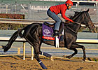Post 2 for F&M Turf Favorite Stacelita Post 2 for F&M Turf Favorite Stacelita