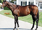 Saarland's First Winner Is a Filly