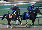 Final Derby Works for Asmussen-Trained Pair Final Derby Works for Asmussen-Trained Pair