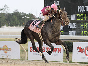 Sabercat Adds Fangs to Bluegrass Cat 2nd Crop Sabercat Adds Fangs to Bluegrass Cat 2nd Crop