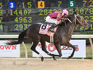 Sabercat Working Toward Arkansas Derby Sabercat Working Toward Arkansas Derby