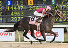 Sabercat Working Toward Arkansas Derby Sabercat Working Toward Arkansas Derby