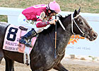 Slideshow: Delta Downs Jackpot Day 2011 Slideshow: Delta Downs Jackpot Day 2011
