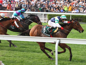 Sacred Kingdom Wins Hong Kong Sprint Again Sacred Kingdom Wins Hong Kong Sprint Again