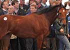 Sadler's Wells Filly Brings World-Record Price at Tattersalls Sadler's Wells Filly Brings World-Record Price at Tattersalls