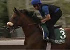 Hong Kong Interview - Saeed bin Suroor