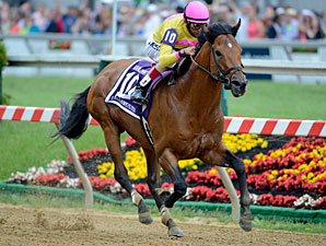 Stalking Sage Valley Wins Maryland Sprint Stalking Sage Valley Wins Maryland Sprint