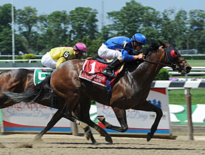 NY-Breds Square Off in John Morrissey Stakes NY-Breds Square Off in John Morrissey Stakes