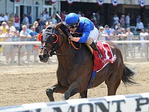 Saginaw Euthanized After Fracturing Sesamoids Saginaw Euthanized After Fracturing Sesamoids