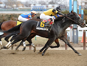 New York Showcase Day Features Seven Stakes New York Showcase Day Features Seven Stakes