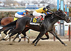 New York Showcase Day Features Seven Stakes New York Showcase Day Features Seven Stakes
