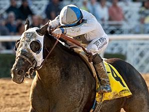 Longshot Sahara Sky Scorches Palos Verdes Longshot Sahara Sky Scorches Palos Verdes