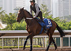 Hong Kong Interview - Rod Collet Hong Kong Interview - Rod Collet
