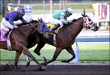 Saint Afleet Takes Wing in Palos Verdes Saint Afleet Takes Wing in Palos Verdes