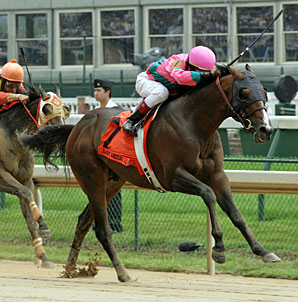 Gr. II Winner Saint Anddan Retires Gr. II Winner Saint Anddan Retires