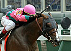 Gr. II Winner Saint Anddan Retires Gr. II Winner Saint Anddan Retires
