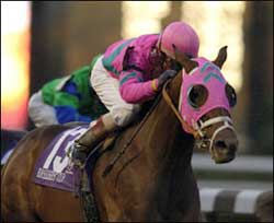 Horse of the Year Saint Liam Dead Horse of the Year Saint Liam Dead