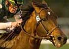 Saint Stephen, Ashado's Full Brother, to Stand at Bar None Saint Stephen, Ashado's Full Brother, to Stand at Bar None