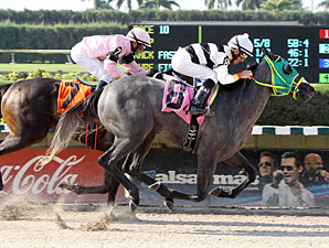 Six Juvenile Fillies to Contest Adirondack Six Juvenile Fillies to Contest Adirondack