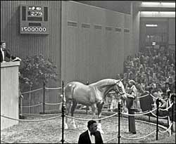 A Memorable Date: First Seven-Figure Yearling Sold A Memorable Date: First Seven-Figure Yearling Sold