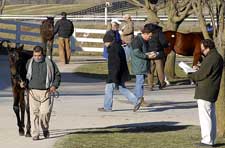 Third Session Shows Strength at Keeneland January Sale Third Session Shows Strength at Keeneland January Sale