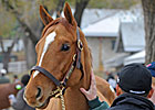 Top Price of $170,000 at Keeneland Auction Top Price of $170,000 at Keeneland Auction
