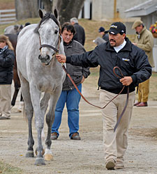 WinStar Prospects Boost Keeneland Results WinStar Prospects Boost Keeneland Results