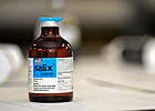 National HBPA to Breeders' Cup: Keep Salix National HBPA to Breeders' Cup: Keep Salix