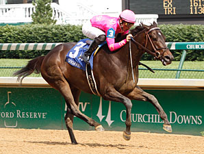 Salty Strike Makes the Grade in Dogwood