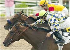 'Sarge, Leonides Square Off Again in Best Pal 'Sarge, Leonides Square Off Again in Best Pal