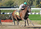 Salutos Amigos Best in 'Ruler, Eyes BC Sprint Salutos Amigos Best in 'Ruler, Eyes BC Sprint