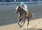 Salutos Amigos Aims to Extend Win Streak Salutos Amigos Aims to Extend Win Streak