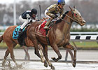 Salutos Amigos Rallies to Win Fall Highweight Salutos Amigos Rallies to Win Fall Highweight