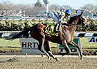 Salutos Amigos Adds Gravesend Stakes Victory Salutos Amigos Adds Gravesend Stakes Victory