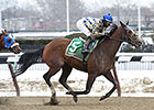 'Salutos,' Dads Caps Clash Again in Tom Fool 'Salutos,' Dads Caps Clash Again in Tom Fool