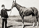 The Great 19th Century Champion Salvator The Great 19th Century Champion Salvator