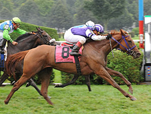 Salve Germania Springs Ballston Spa Surprise Salve Germania Springs Ballston Spa Surprise