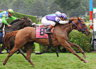Salve Germania Springs Ballston Spa Surprise