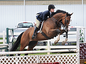 New Vocations Charity Show a Success New Vocations Charity Show a Success