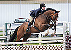  New Vocations Charity Show a Success