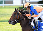 Grade I Winner Samitar Heads Gallorette Field