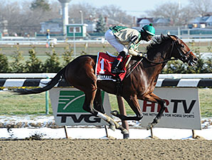 Stretch Out No Problem for Unbeaten Samraat Stretch Out No Problem for Unbeaten Samraat