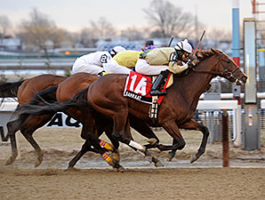 Gotham Winner Returns to Florida; Wood Next Gotham Winner Returns to Florida; Wood Next