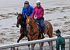Samraat Races History in Belmont Bid for Sire Samraat Races History in Belmont Bid for Sire