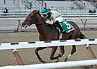 Haskin's Derby Trail: The 'Ol One-Three Haskin's Derby Trail: The 'Ol One-Three