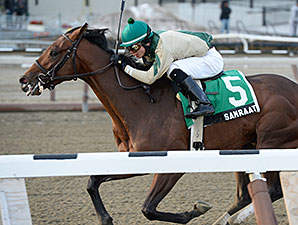 Samraat Prevails in NY-Bred Withers War Samraat Prevails in NY-Bred Withers War