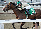 Samraat Prevails in NY-Bred Withers War Samraat Prevails in NY-Bred Withers War